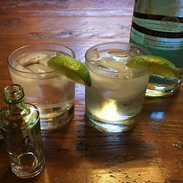 GIN AND TONIC INFUSION